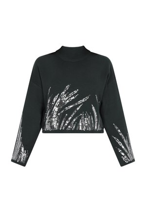 Schwarzer kurz geschnittener Pullover mit hohem Kragen und langen Ärmeln, vorne mit silbernen Paillettenmuster, die Gras ähneln.