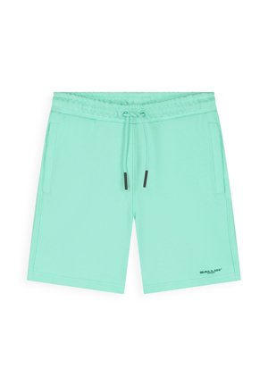 Mintgroene casual short met elastische tailleband, trekkoord, zijzakken en klein "BALLIN'" logo vlak bij de zoom op witte achtergrond.