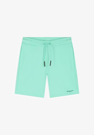 Mintgroene casual short met elastische tailleband, trekkoord, zijzakken en klein "BALLIN'" logo vlak bij de zoom op witte achtergrond.