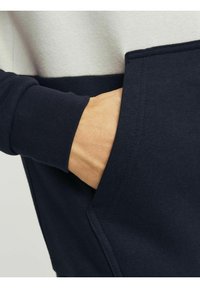 Jack & Jones COLOUR BLOCKING - Sweatshirt - sky captain