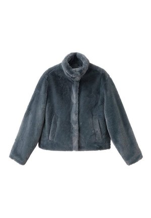 TEEN - Chaqueta de invierno - grijs