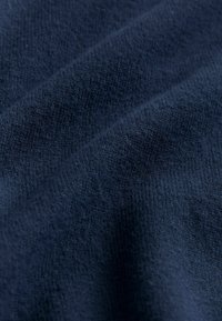 Next REGULAR FIT - Kardigán - navy blue
