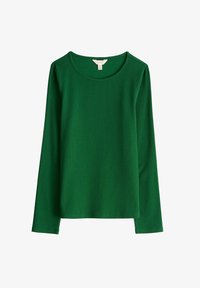 Nevybráno, green evergreen