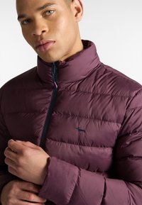 Chaqueta acolchada burdeos con cuello alto, diseño acolchado y cremallera azul marino. Presenta un pequeño logo oscuro en el pecho y una tela texturizada.
