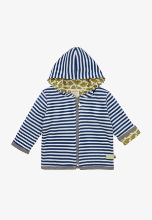 Gestreepte ritstrui in blauw en wit, met een groen patroon aan de binnenkant en grijze accenten op de mouwen. Heeft een capuchon en een zachte textuur.