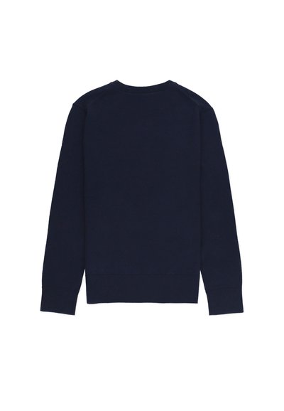 Polo Ralph Lauren CON PONY - Maglione - blue