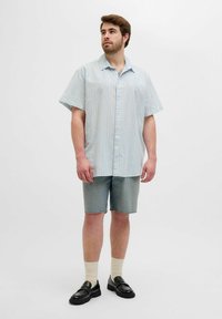 Camisa de manga corta en azul claro con rayas verticales, combinada con pantalones cortos de mezclilla. Mocasines negros y calcetines crema completan el look.
