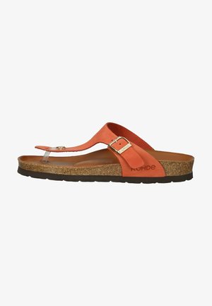Rohde ZEHENSTEG - T-bar sandals - kiss