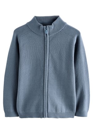 Maglione azzurro chiaro con zip realizzato in materiale lavorato a maglia, caratterizzato da un colletto alto, polsini e orlo a costine, con una superficie liscia e privo di fantasie.