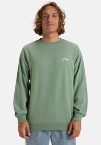 Grüner Sweatshirt mit langen Ärmeln, gerippten Bündchen und Saum, das ein kleines weißes Logo auf der Brust trägt. Aus weichem, glattem Material gefertigt.