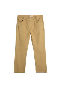 Chinos de algodón beige con corte recto, con cremallera en la bragueta, cinco bolsillos y costuras decorativas. Textura suave y diseño clásico.