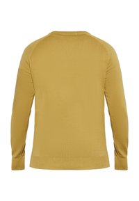 Langärmliger, senfgelber Pullover mit Rundhalsausschnitt, gerippten Bündchen und Saum. Glatte Textur, einfaches Design, ohne erkennbare Muster.