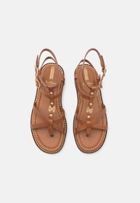 Sam Edelman TALYA koniakowy