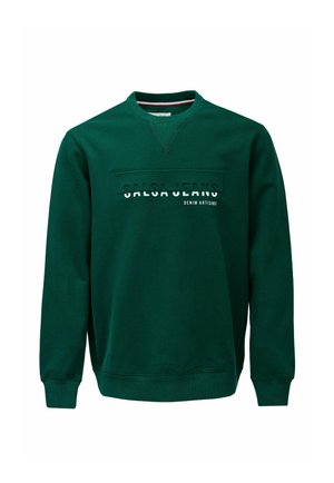 Zielona bluza z długimi rękawami i okrągłym dekoltem. Posiada teksturowany panel z białym i czarnym logo "SALSA JEANS".