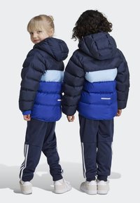 adidas Performance KIDS UNISEX - Giacca invernale - legend ink/clear sky/semi lucid blue