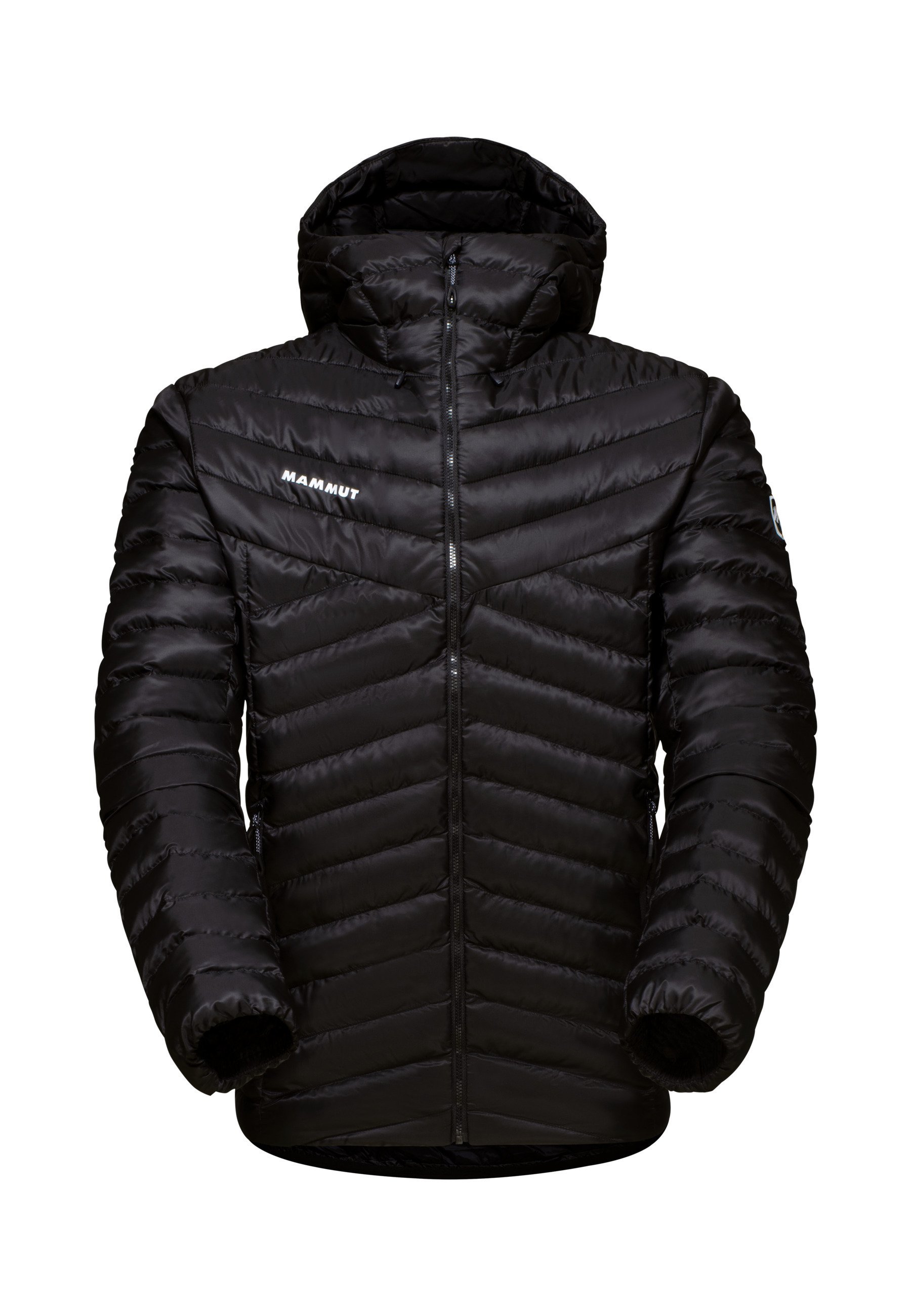 Mammut ALBULA HOODED - Winter jacket - black - Zalando