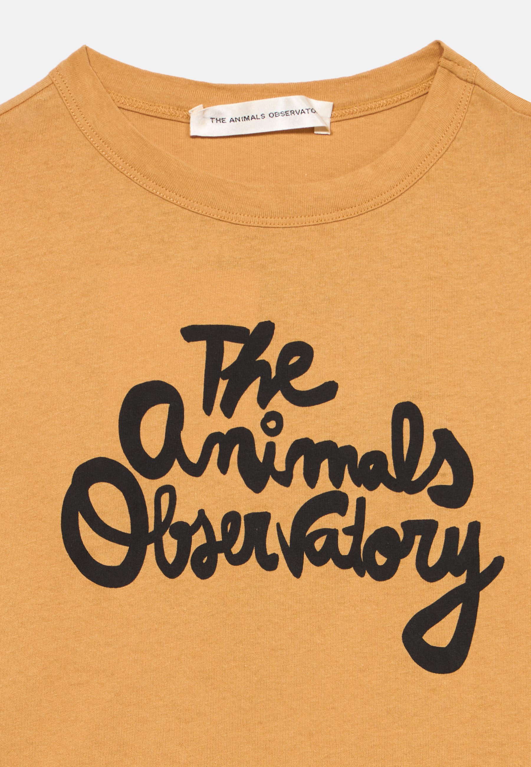 THE ANIMALS OBSERVATORY Kids' Clothes | Children's Clothing | Zalando