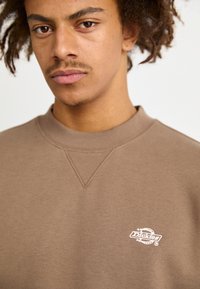 Dickies SUMMERDALE - Felpa - mushroom