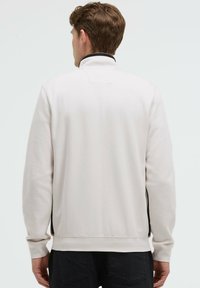 Helles graues Sweatshirt mit hohem Kragen, gerippten Bündchen und seitlichen Einsätzen. Glatte Textur mit matter Oberfläche. Einfaches Design ohne Muster.