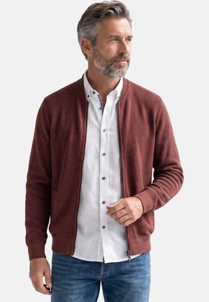 Mann mit grauem Haar und Bart, der eine rostfarbene Strickjacke mit Reißverschluss über einem weißen Hemd mit Knöpfen und blauen Jeans trägt und seitlich schaut.
