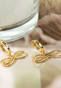 Guldörhängen i form av en oändlighetssymbol med en slät yta och reflekterande yta, visade mot en mjuk, suddig bakgrund.