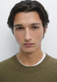 Ritratto in primo piano di una persona con capelli scuri di lunghezza media, occhi marrone chiaro, che indossa un maglione verde oliva sopra una camicia bianca. Pelle liscia e espressione neutra.