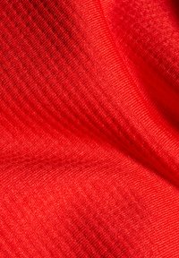 Mammut MASSONE HOODED - Outdoorjakke - mammut red