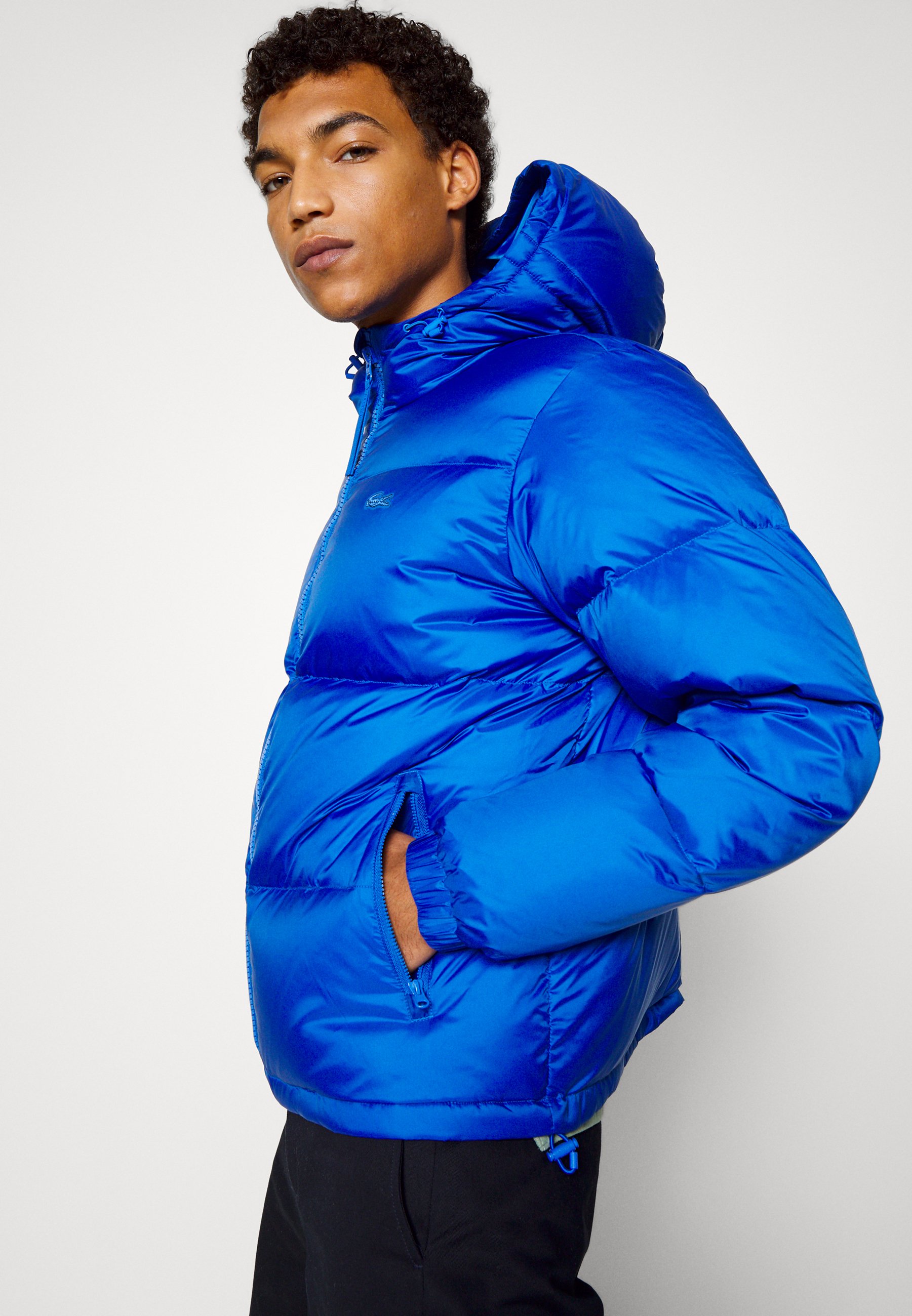 Lacoste Down jacket - marina/royal blue 