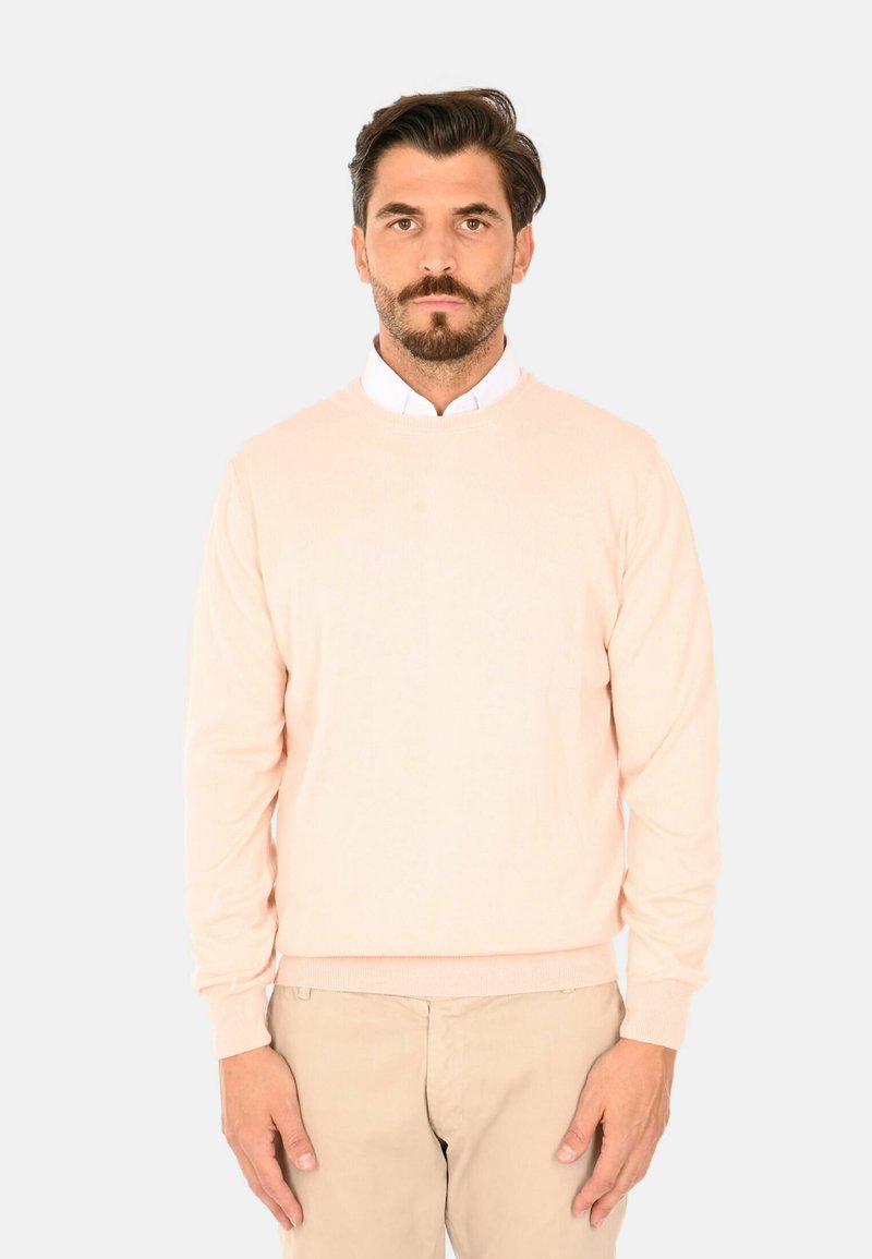 Maglione rosa chiaro, collo a giro, maniche lunghe, polsini e orlo a coste, texture morbida. Indossato su una camicia bianca con colletto, abbinato a pantaloni beige.