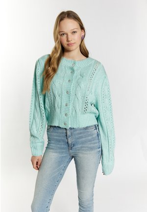 Mintgroene gebreide cardigan met kabelpatronen, oversized mouwen en decoratieve knopen aan de voorkant. G gedragen met lichtblauwe high-waisted jeans.