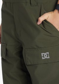 Zelené cargo nohavice vyrobené z odolného materiálu, s bočnými vreckami a výrazným strieborným logom DC na stehne. Hladká textúra, elegantný design.
