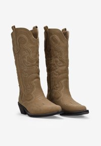Botas de vaquero de ante color marrón con costuras decorativas, puntera puntiaguda, tacón apilado y lengüetas en la parte superior para facilitar su uso.