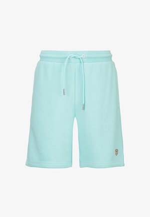 Lichtblauwe casual shorts met een trekkoortsluiting in de taille en een klein embleem op het linkeronderbeen, ontworpen voor comfort en stijl.