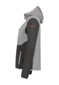 Giacca con cappuccio grigia e nera, con zip frontale, caratterizzata da pannelli a contrasto, tasche con zip e un logo sulla manica. Struttura morbida.