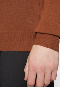 Nahaufnahme einer Hand, die neben einem braunen Langarmpullover mit gerippten Bündchen und der aufgestickten Zahl "1903" ruht.