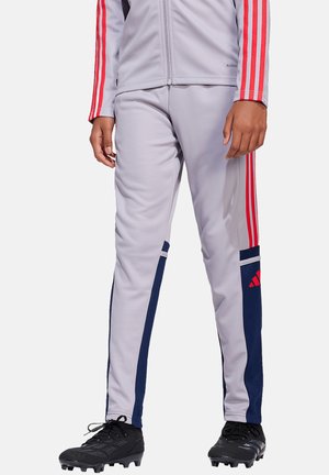 Grijze sportbroeken met marineblauwe accenten, voorzien van rode strepen aan de zijkanten, en hebben een slim fit gemaakt van lichtgewicht, flexibel materiaal.