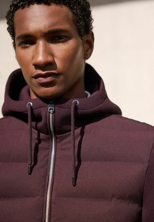 Next, REGULAR FIT - QUILTED HYBRID HOODED JACKET - Winter jacket - burgundy red