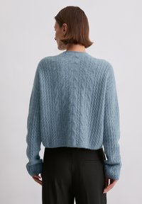 Hellblauer Strickpullover mit strukturiertem Zopfmuster, kurzem Schnitt und langen Ärmeln. Weiches, flauschiges Material mit rundem Ausschnitt.