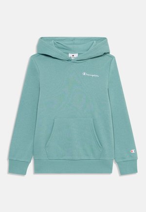 Jasnoniebieska bluza z kapturem wykonana z miękkiego materiału, z przednią kieszenią, ściągaczami na rękawach i małym haftowanym logo na piersi.