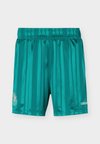 Germany EQT - Ένδυση εθνικής ομάδας - equipment green
