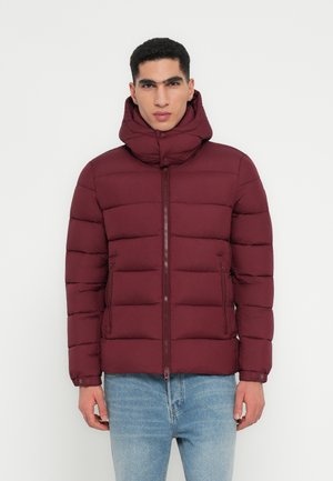 BORIS - Giacca invernale - wine red