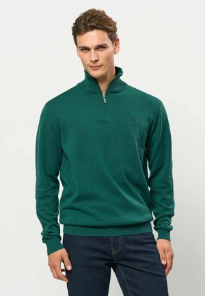 Homme aux cheveux bruns courts portant un pull vert zippé et un jean bleu foncé, debout devant un fond clair uni.