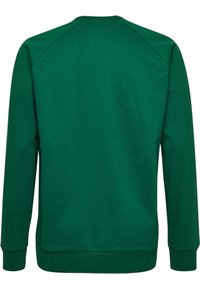 Felpa verde con scollo a girocollo, maniche lunghe raglan, polsini e orlo a coste. Realizzata in un morbido misto cotone con una texture liscia.