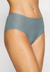 Chantelle Slip - gris geisha