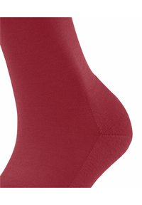 FALKE CLIMAWOOL - Calze - scarlet