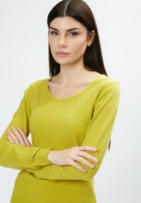 Maglione a maniche lunghe di un vivace verde lime, realizzato in tessuto morbido, con scollatura rotonda e polsini a coste. Il modello posa con le braccia incrociate.