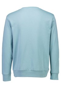 Ljusblå sweatshirt med långa ärmar, rund halsringning, ribbade manschetter och nederkant, tillverkad av mjukt, texturerat tyg. Visad bakvy.