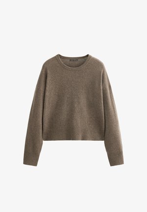 Brauner, kurz geschnittener Pullover aus weichem Material, mit rundem Ausschnitt und gerippten Bündchen und Saum. Einfaches, strukturiertes Design mit langen Ärmeln.