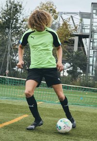 Puma INDIVIDUALLIGA TRAINING SHORTS OPEN POCKETS  - Sports shorts - black/fizzy apple