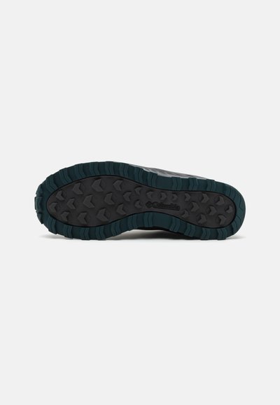 Chaussure universel femmes Columbia Trailstorm Ascend Wp